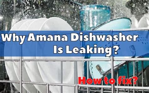 amana dishwasher leaking|Amana Dishwasher leaking: Causes + Fixes